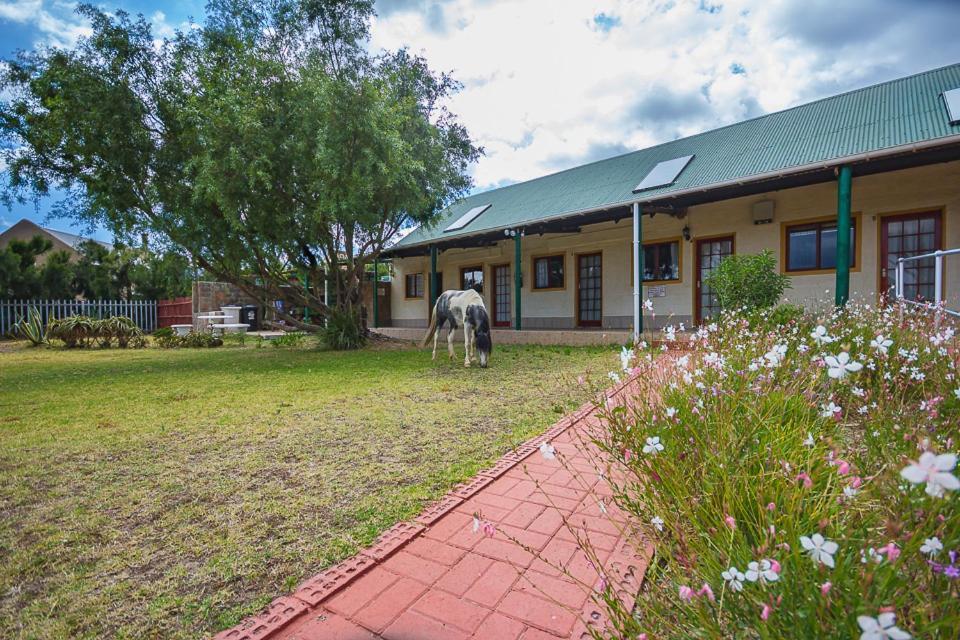 Kingfisher Hollow Gordonʼs Bay Exterior foto